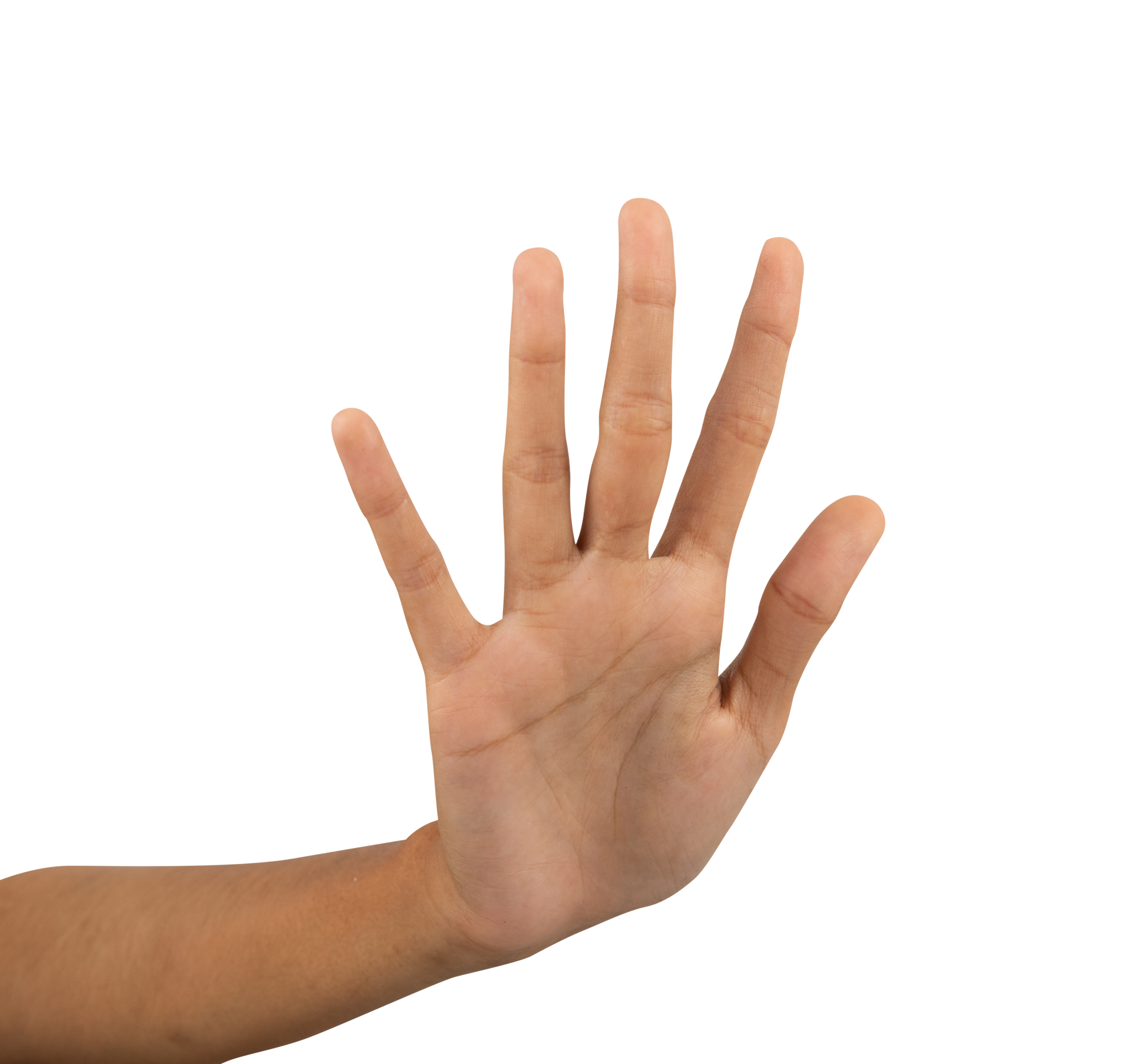 stop hand gesture sign isolated 21285704 PNG