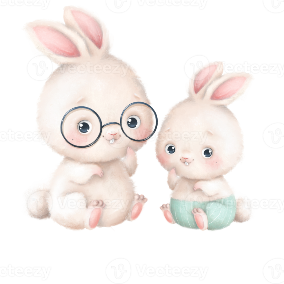 Easter day White Bunny png