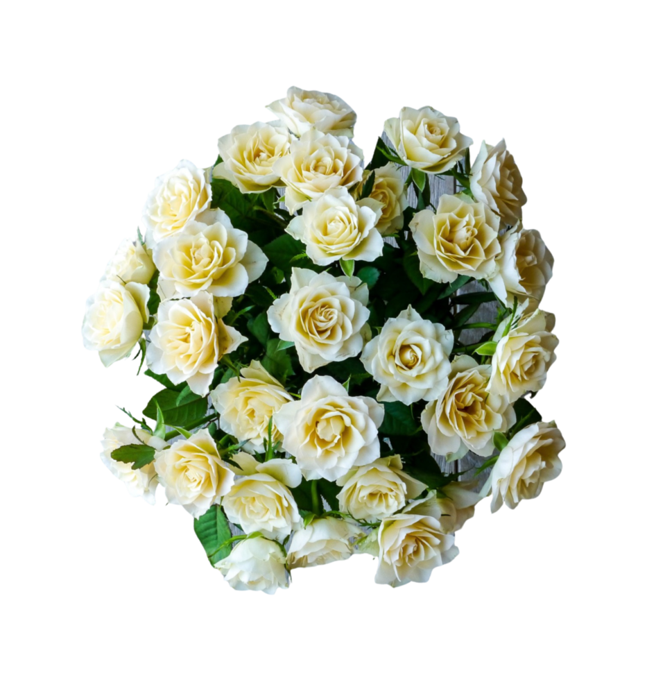 Bouquet of roses and flowers png