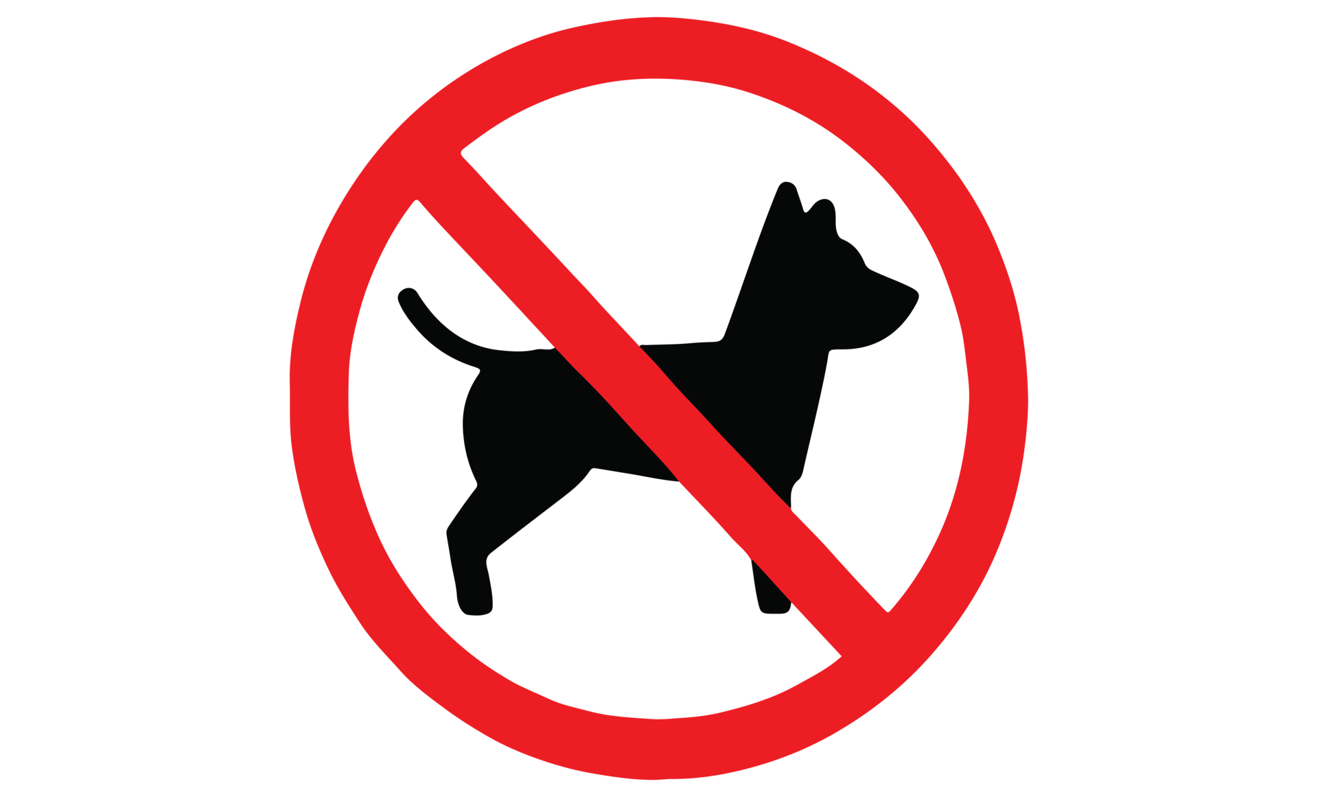 pet not allowed dogs not allowed cats not allowed icon on
