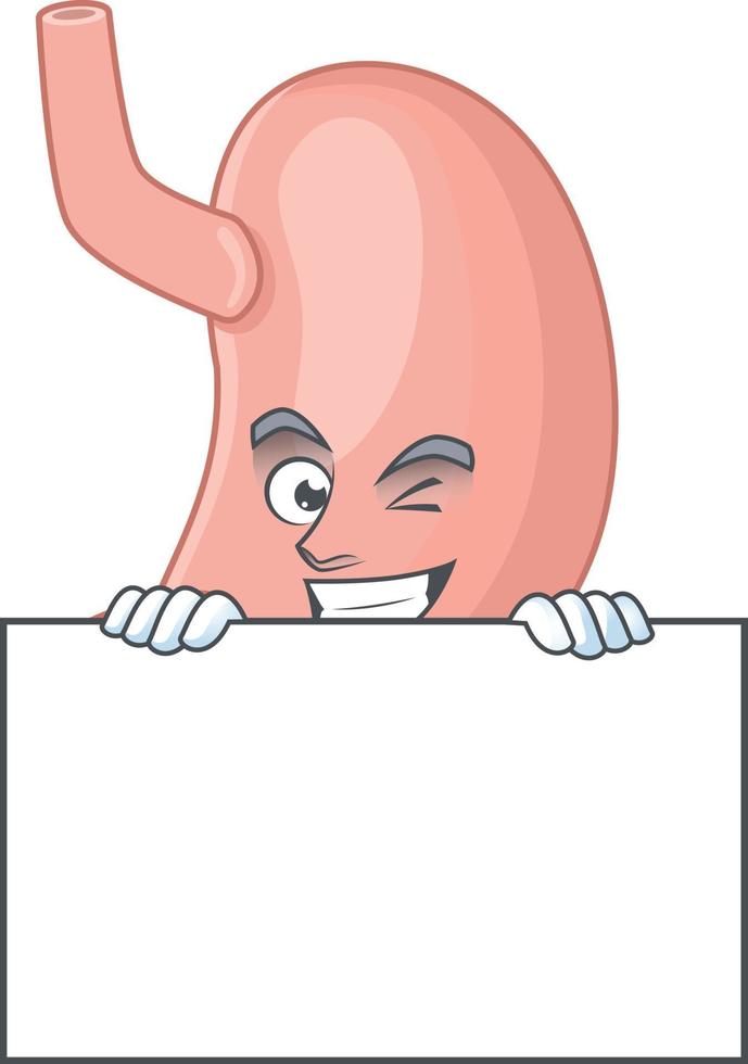 Stomach Cartoon character vector