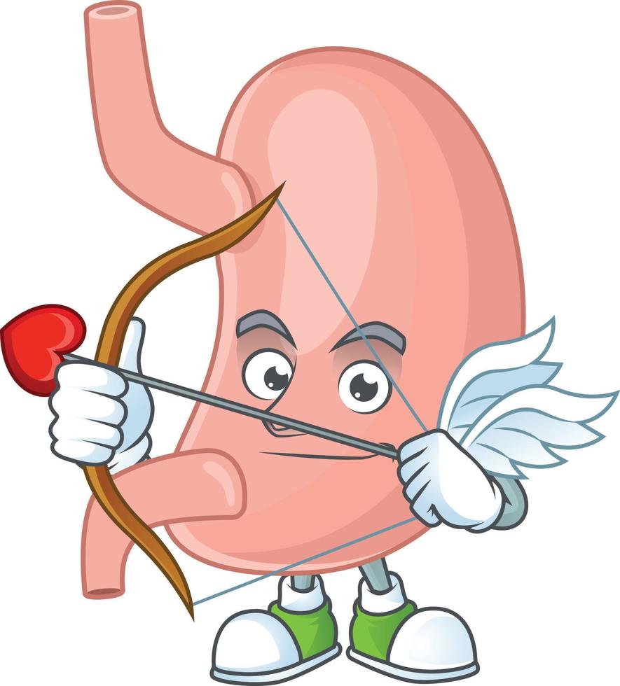 Stomach Cartoon character vector