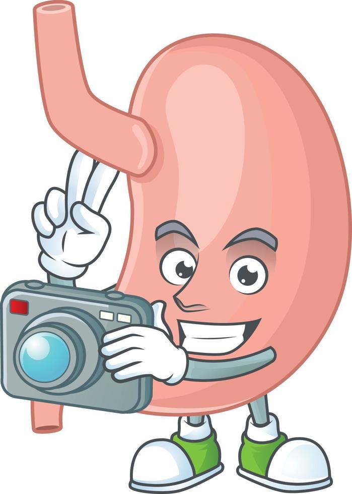 Stomach Cartoon character vector