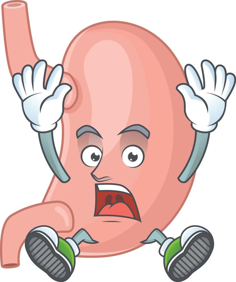 Stomach Cartoon character vector
