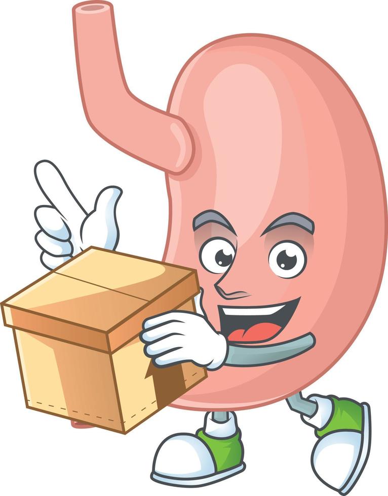 Stomach Cartoon character vector