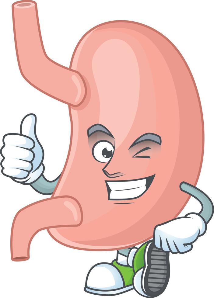 Stomach Cartoon character vector