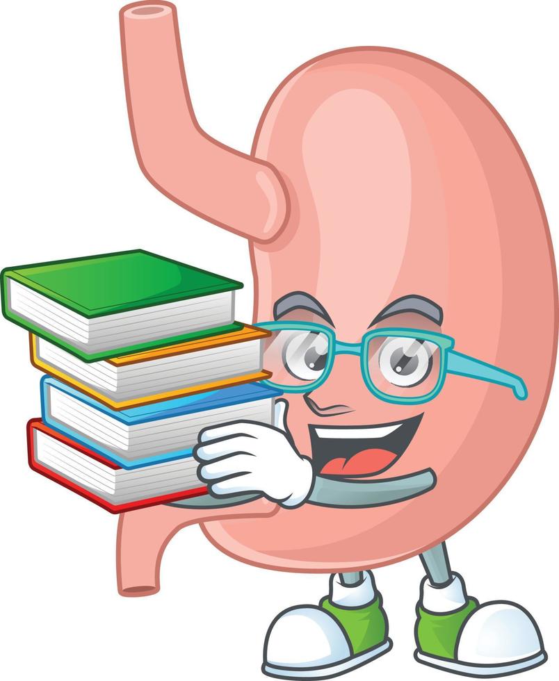 Stomach Cartoon character vector