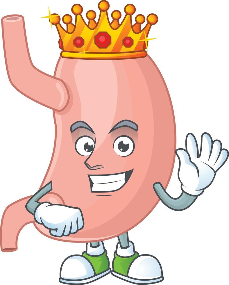 Stomach Cartoon character vector