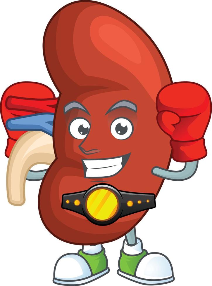 Right human kidney Cartoon character vector