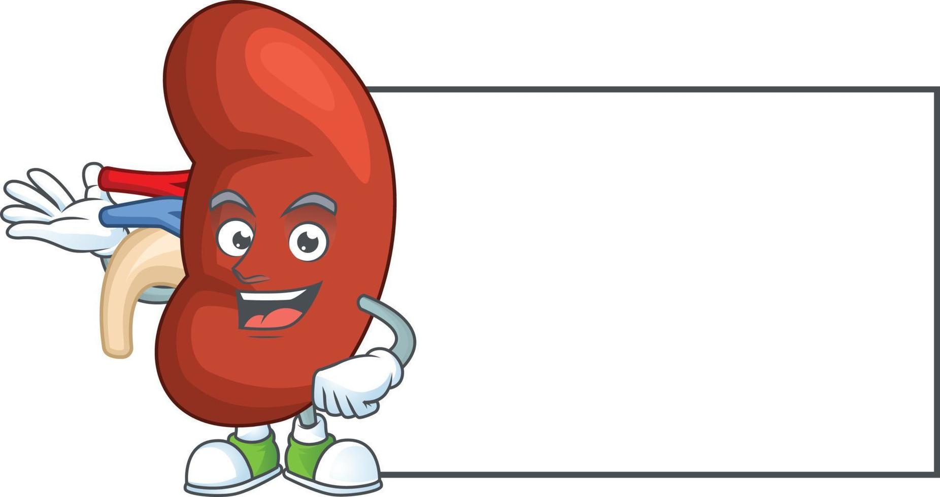 Right human kidney Cartoon character vector