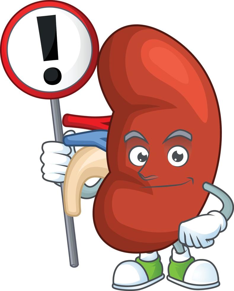 Right human kidney Cartoon character vector