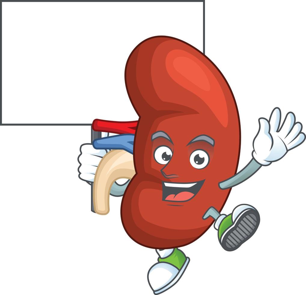 Right human kidney Cartoon character vector