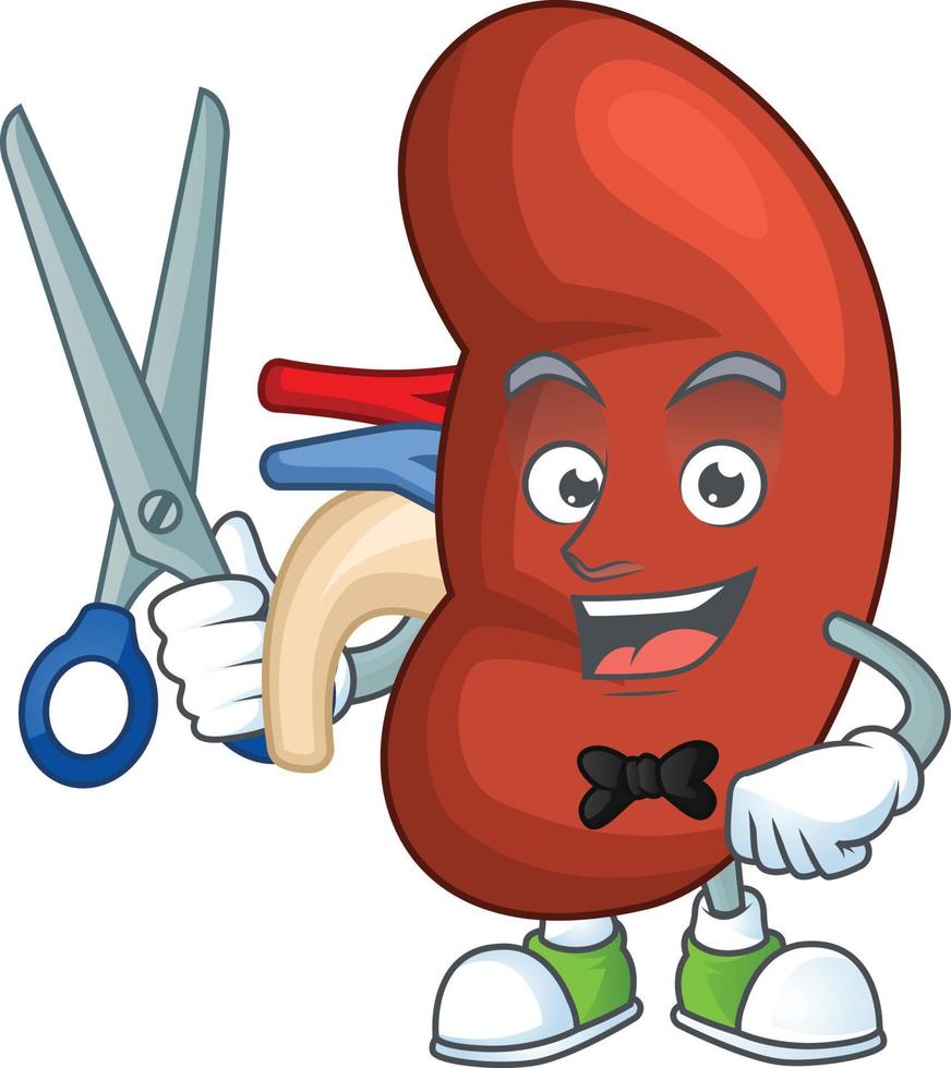 Right human kidney Cartoon character vector