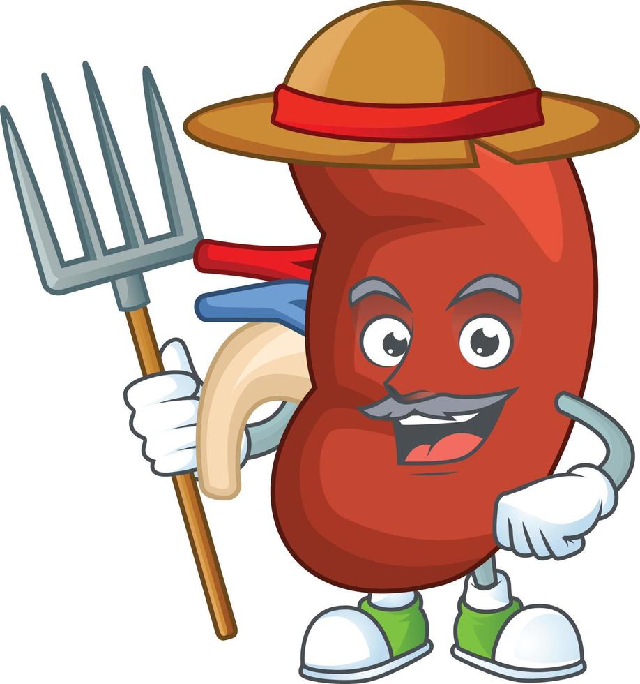 Right human kidney Cartoon character vector