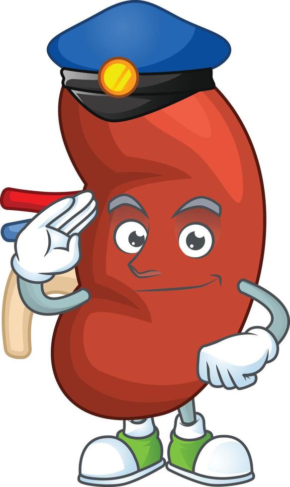 Right human kidney Cartoon character vector