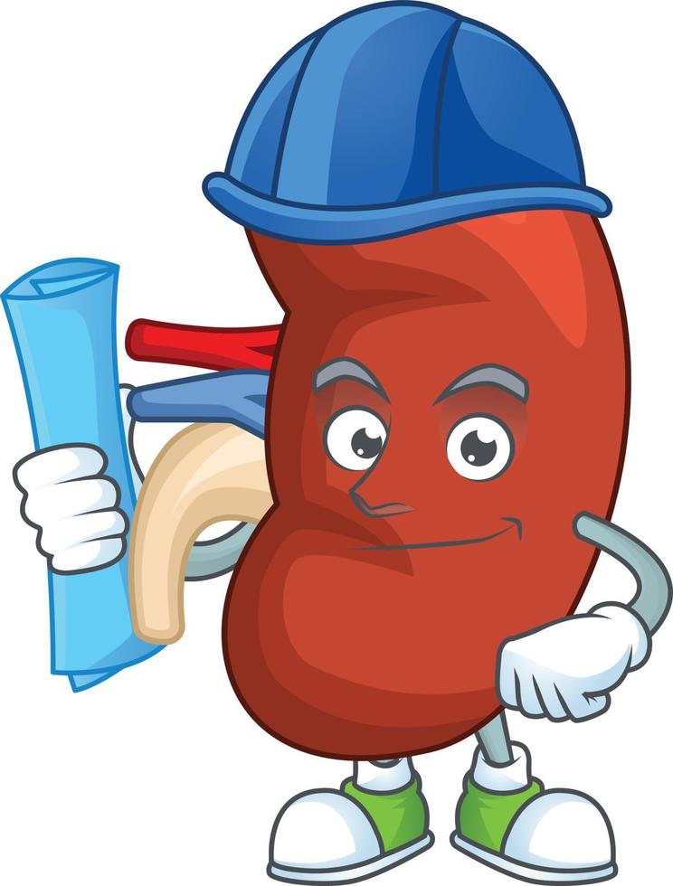 Right human kidney Cartoon character vector