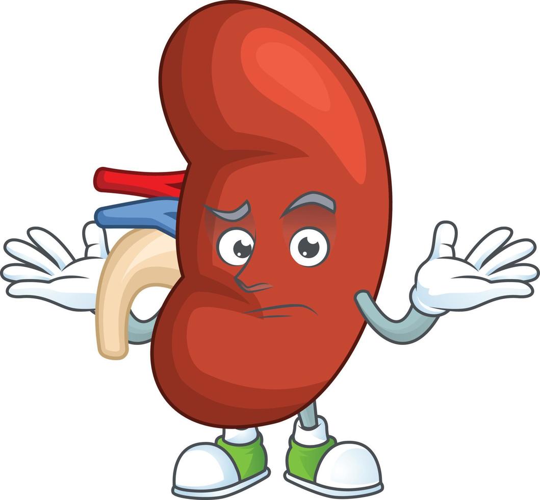 Right human kidney Cartoon character vector