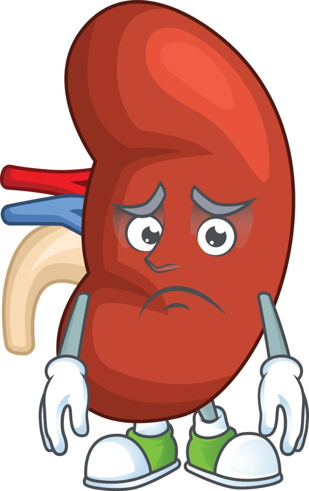 Right human kidney Cartoon character vector