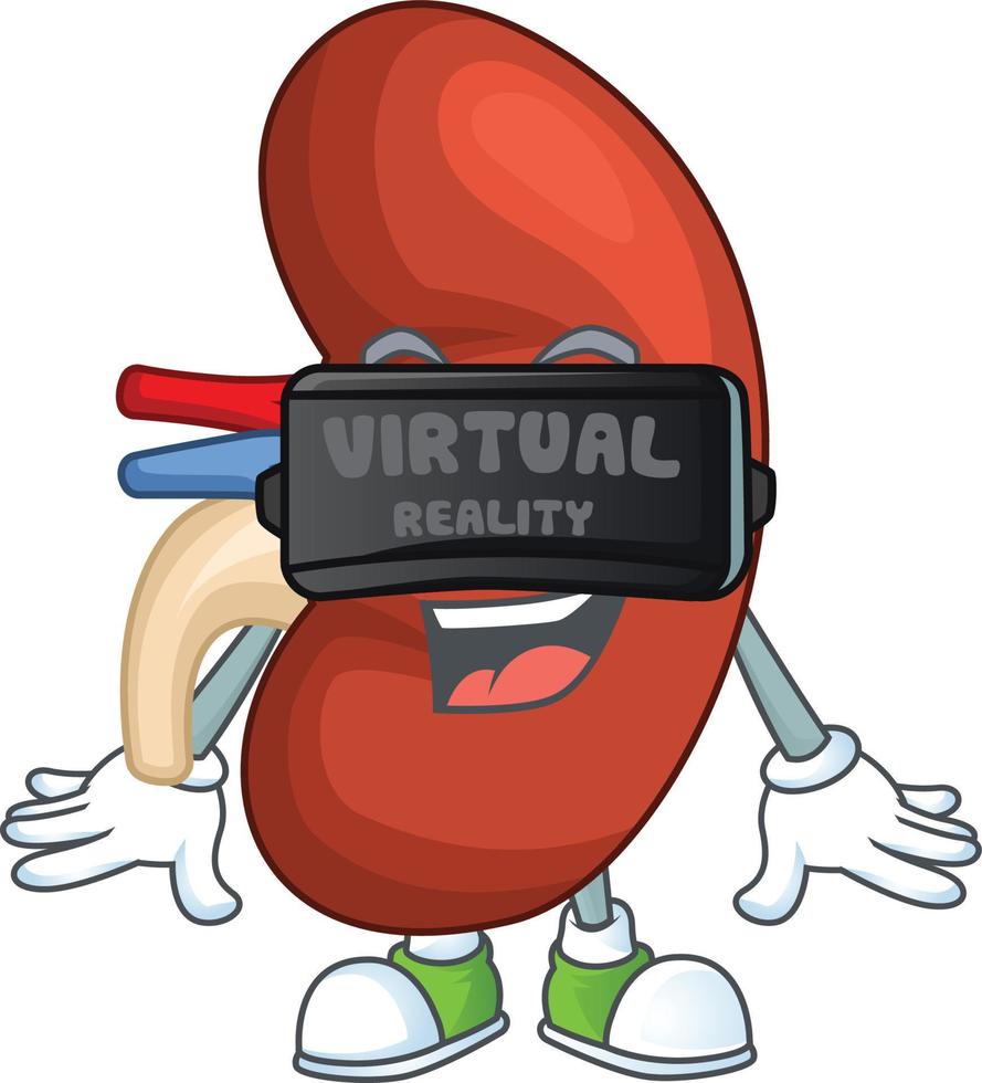 Right human kidney Cartoon character vector