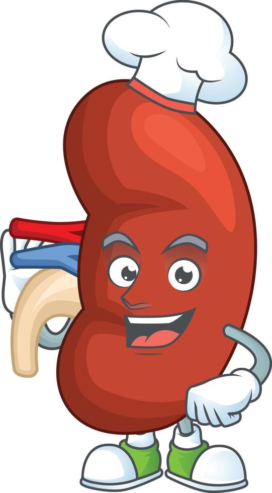 Right human kidney Cartoon character vector