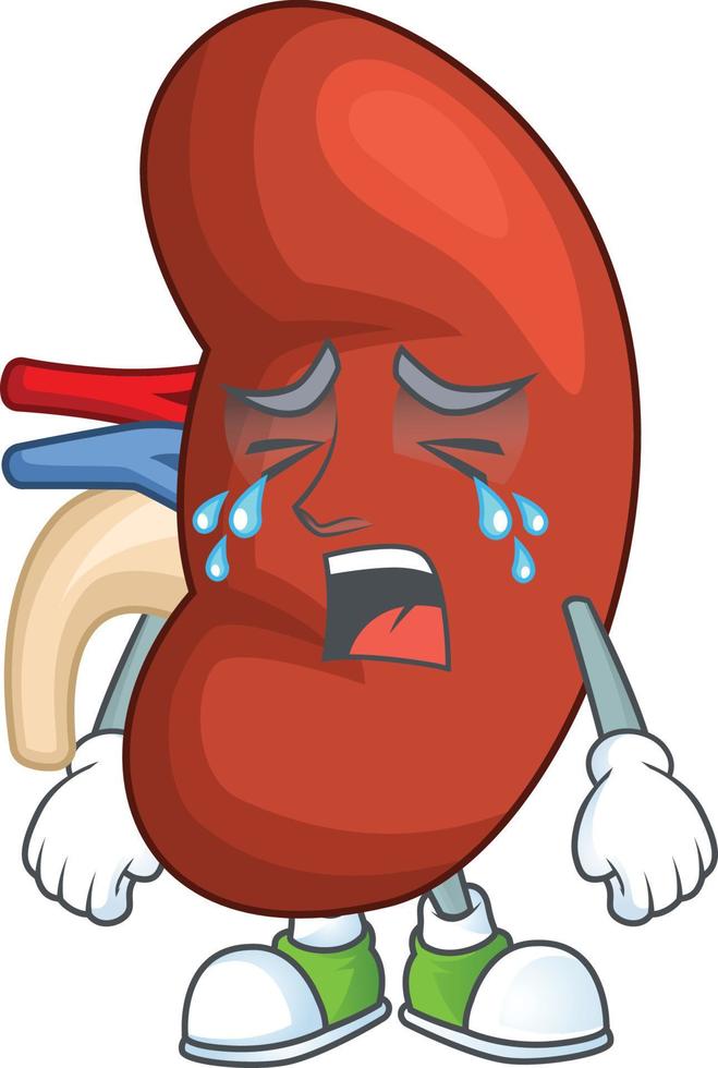Right human kidney Cartoon character vector