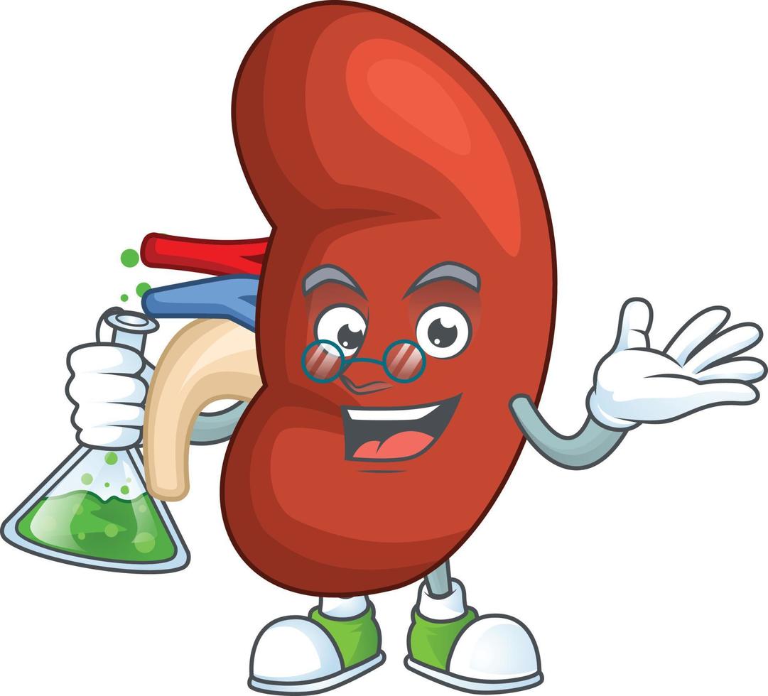 Right human kidney Cartoon character vector