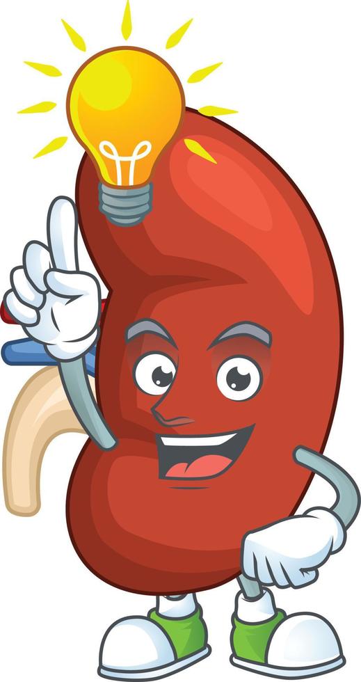 Right human kidney Cartoon character vector