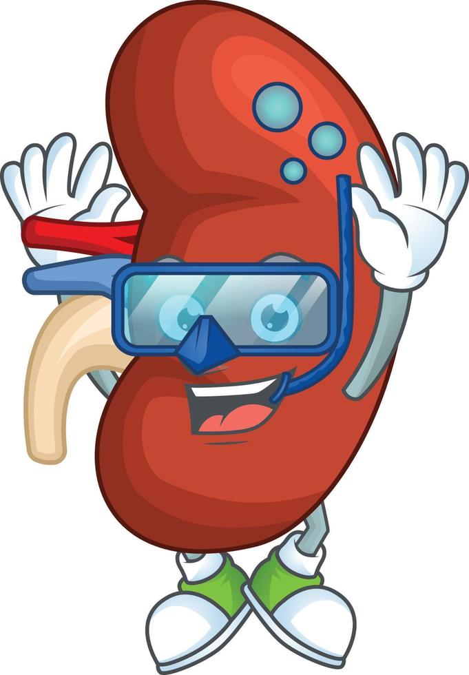 Right human kidney Cartoon character vector