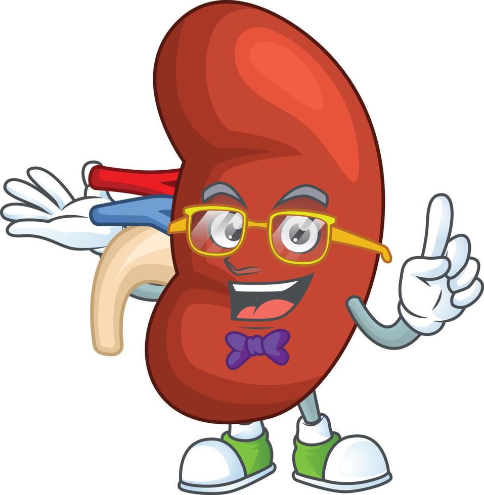 Right human kidney Cartoon character vector