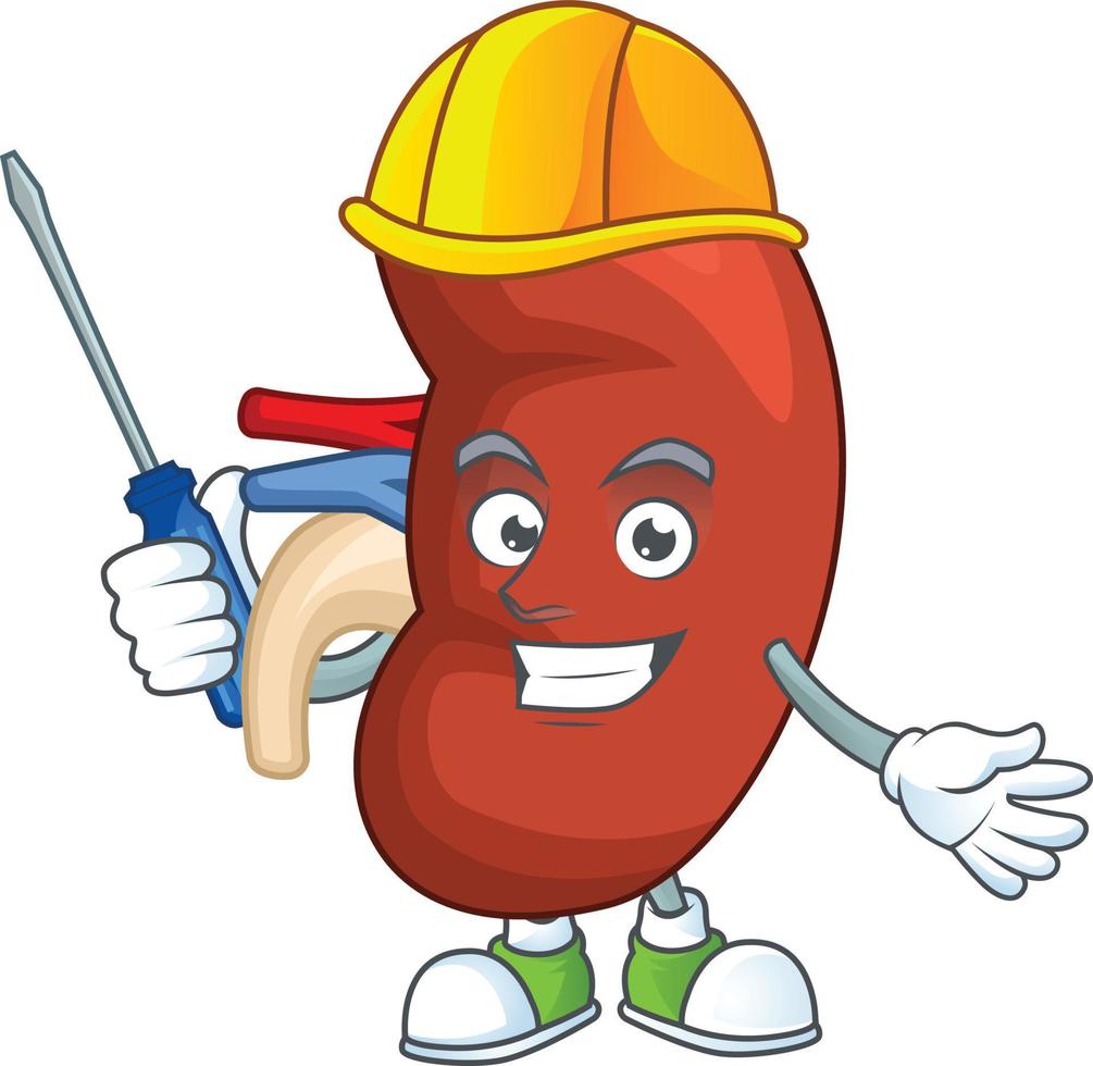 Right human kidney Cartoon character vector