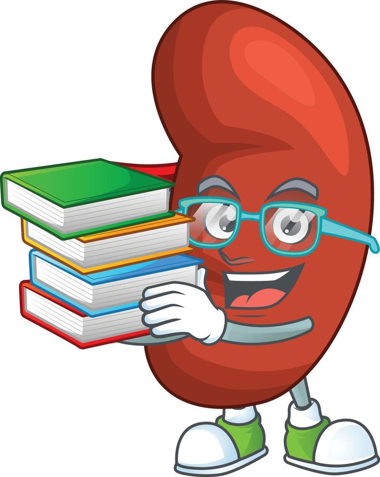 Right human kidney Cartoon character vector