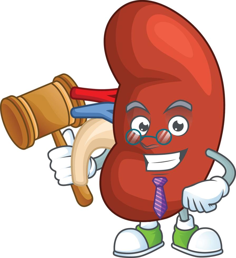 Right human kidney Cartoon character vector