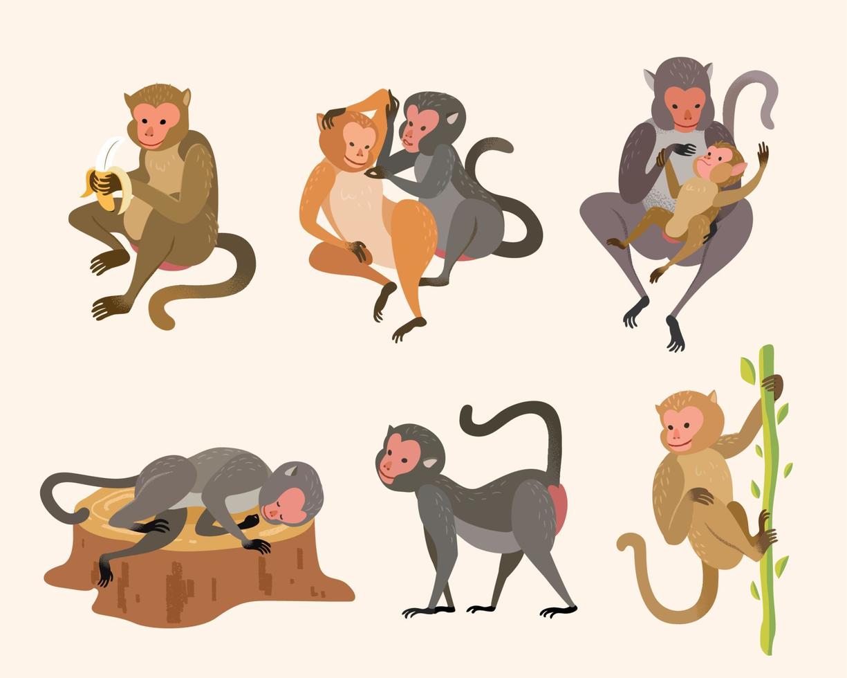 Cute animal collection of Taiwanese macaque or Formosan rock monkeys. Element in hand drawn or doodle design, isolated on white background. vector