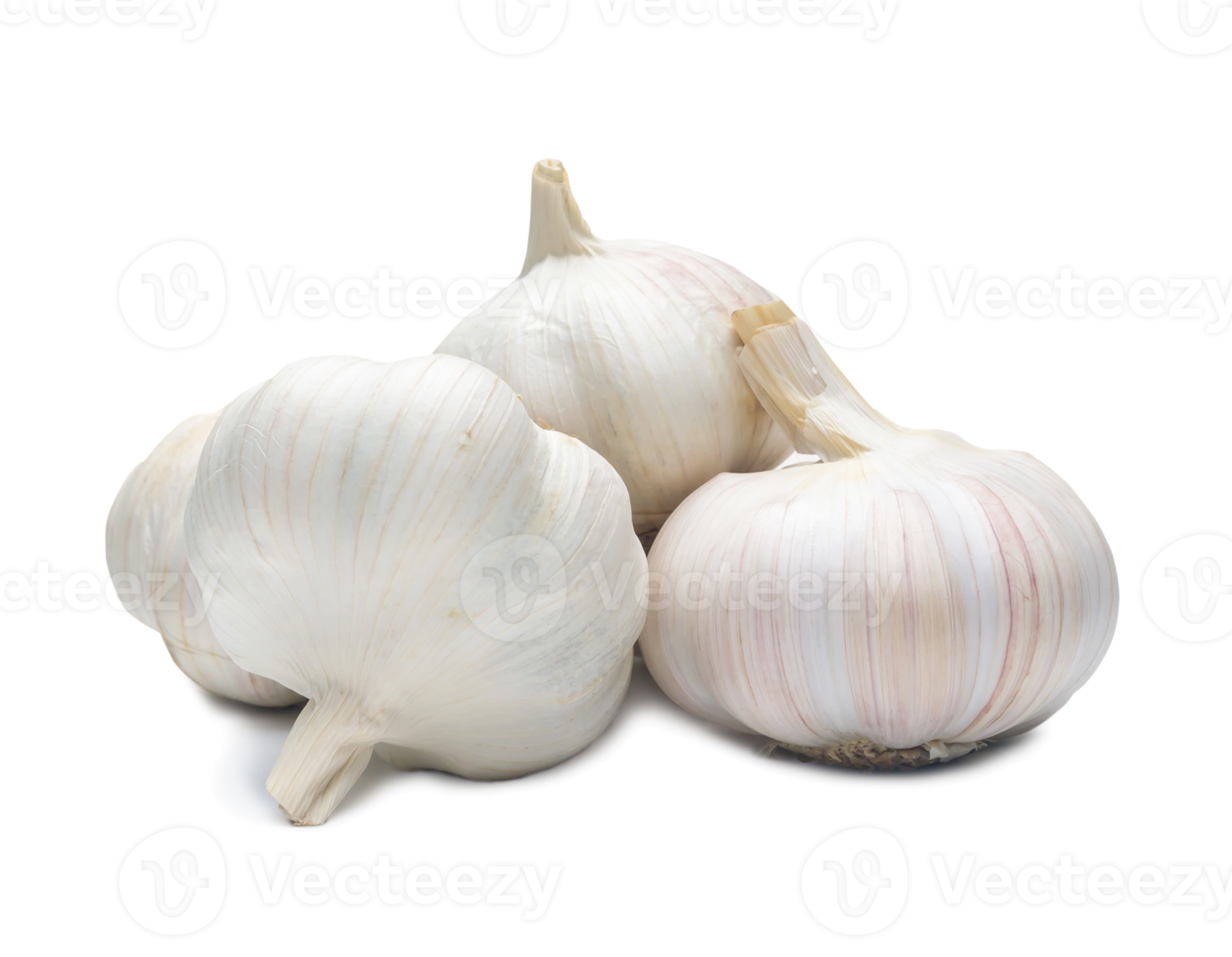 four fresh white garlic bulbs in stack isolated with clipping path and shadow in png file format, Thai herb is great for healing several severe diseases, heart attack, Hyperlipidemia