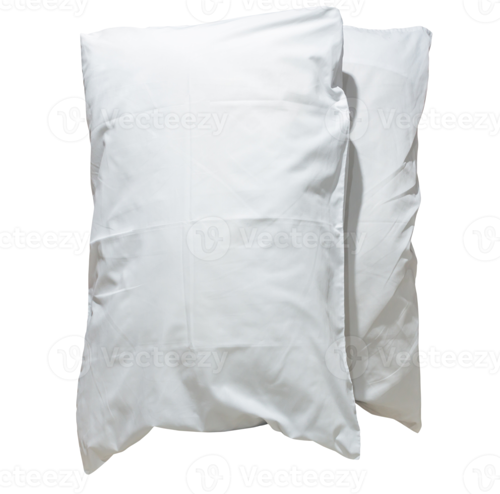 Two white pillows with cases after guest's use at hotel or resort room isolated with clipping path in png file format,