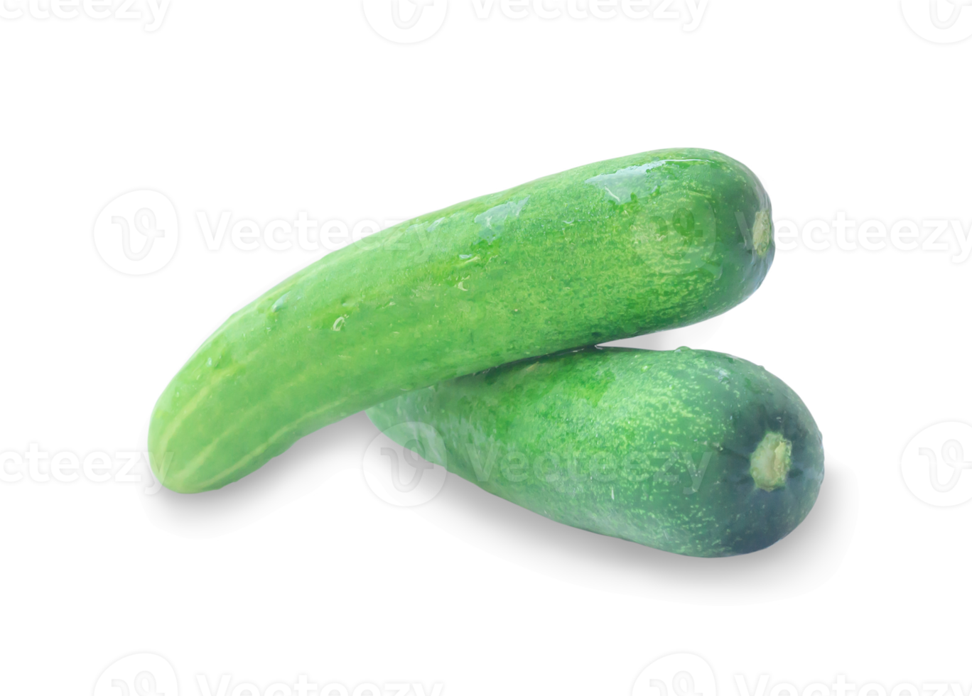 Two fresh green cucumbers vegetalble in stack, heap or pile isolated with clipping path and shadow in png file format