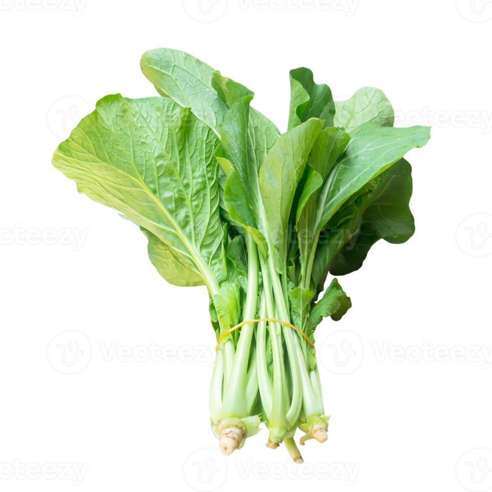 Fresh Cantonese green lettuce in bundle isolated with clipping path in