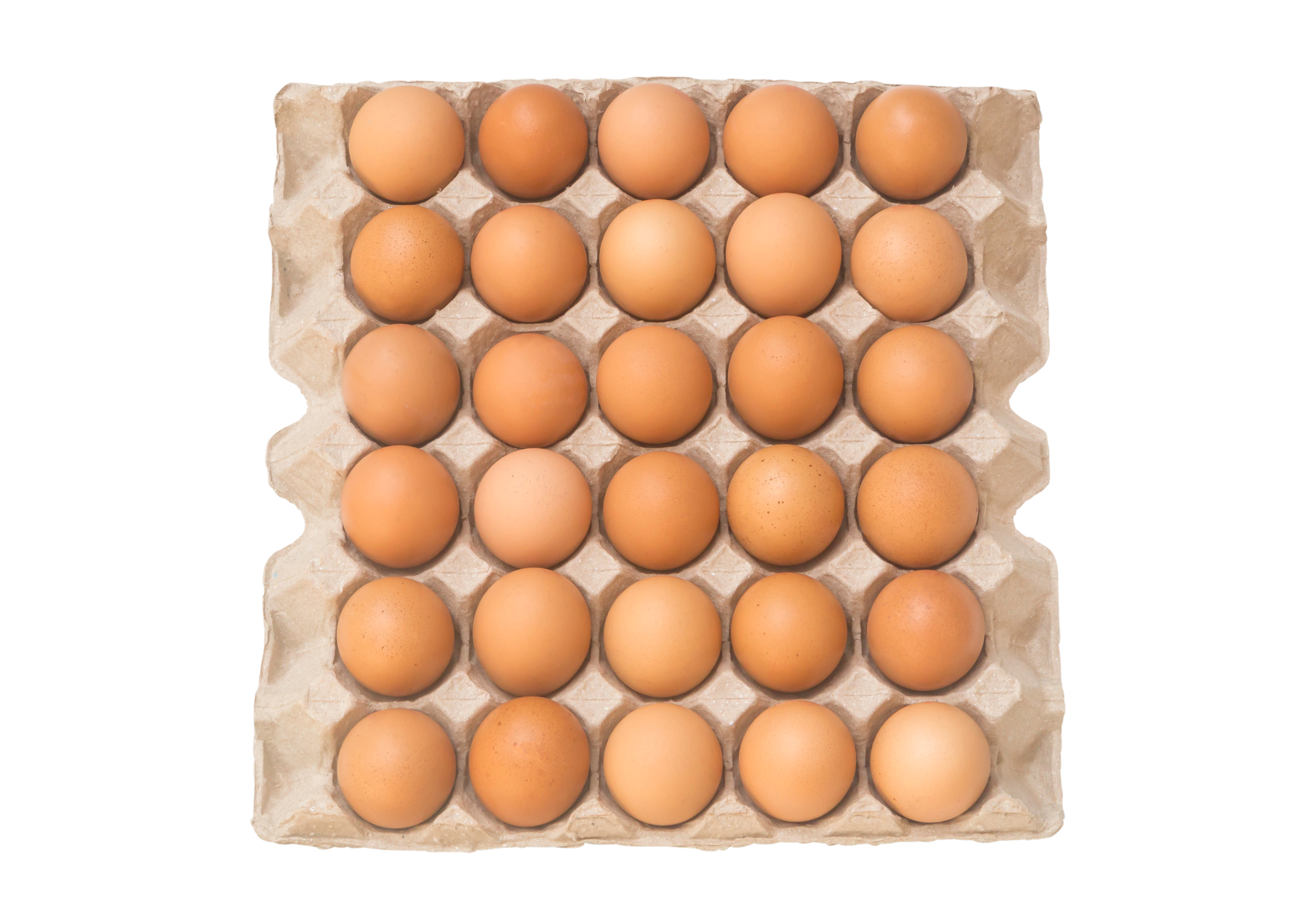 Paper Egg Tray PNG Images & PSDs for Download