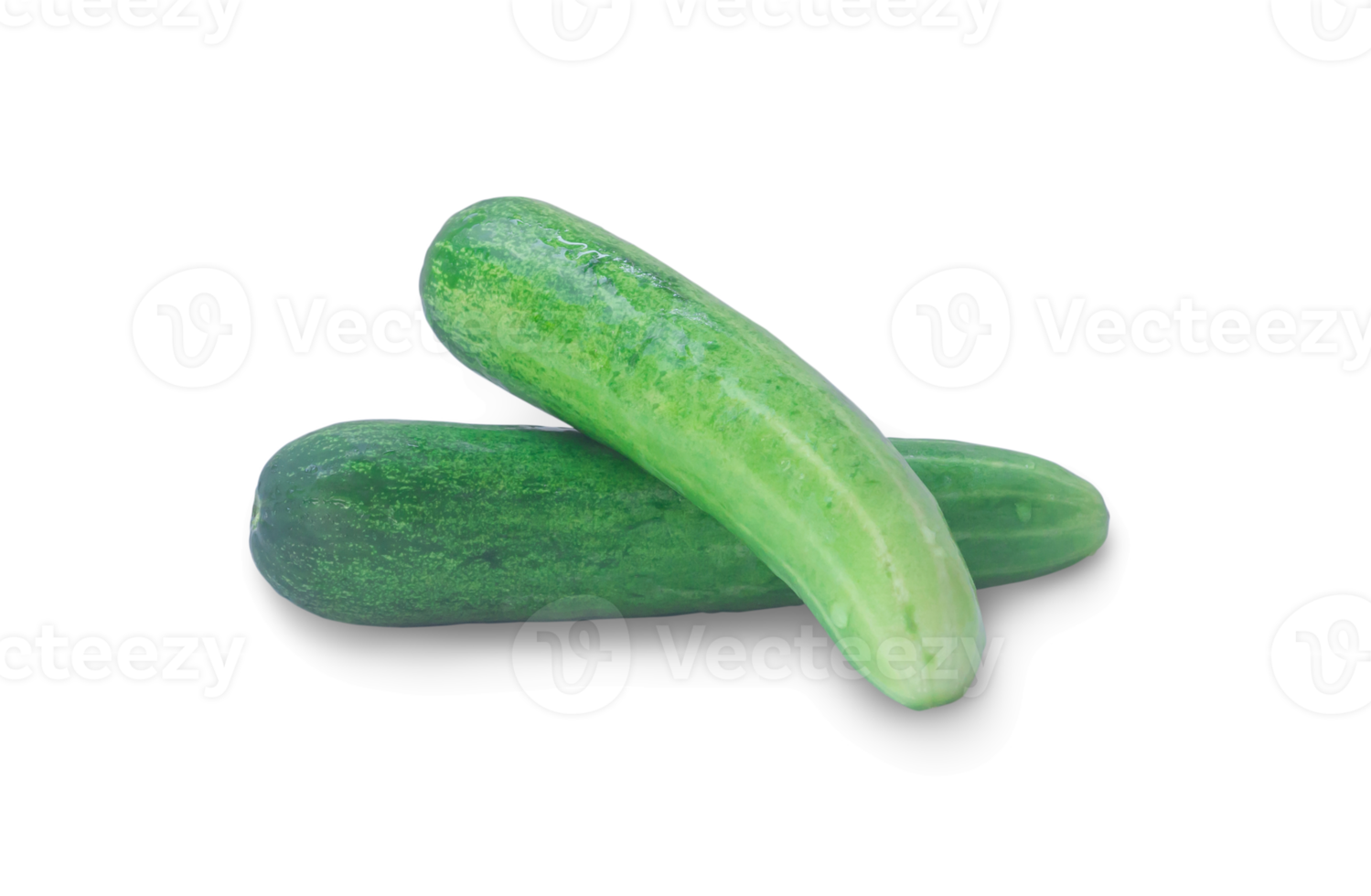 Two fresh green cucumbers vegetable in stack, heap or pile are isolated with clipping path and shadow in png file format