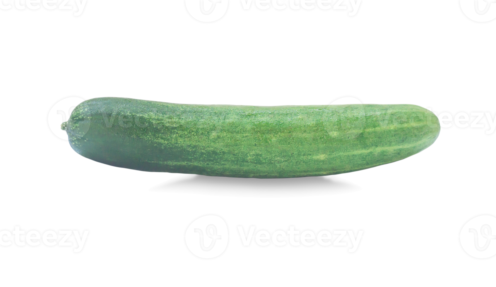Single Grün frisch Gurke Gemüse isoliert mit Ausschnitt Pfad und Schatten im png Datei Format