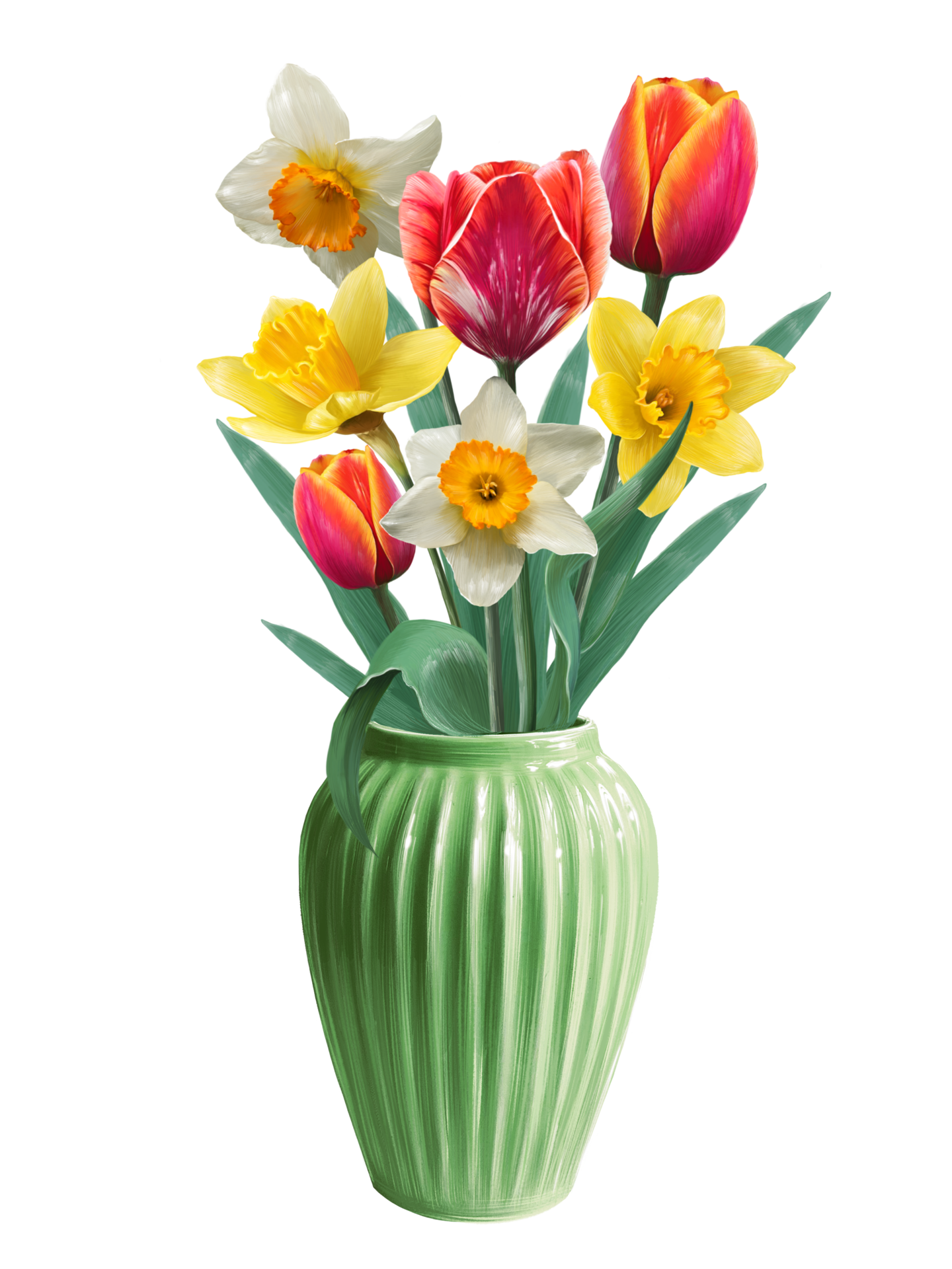 flowers of daffodils and tulips in a vase illustration 21302673 PNG