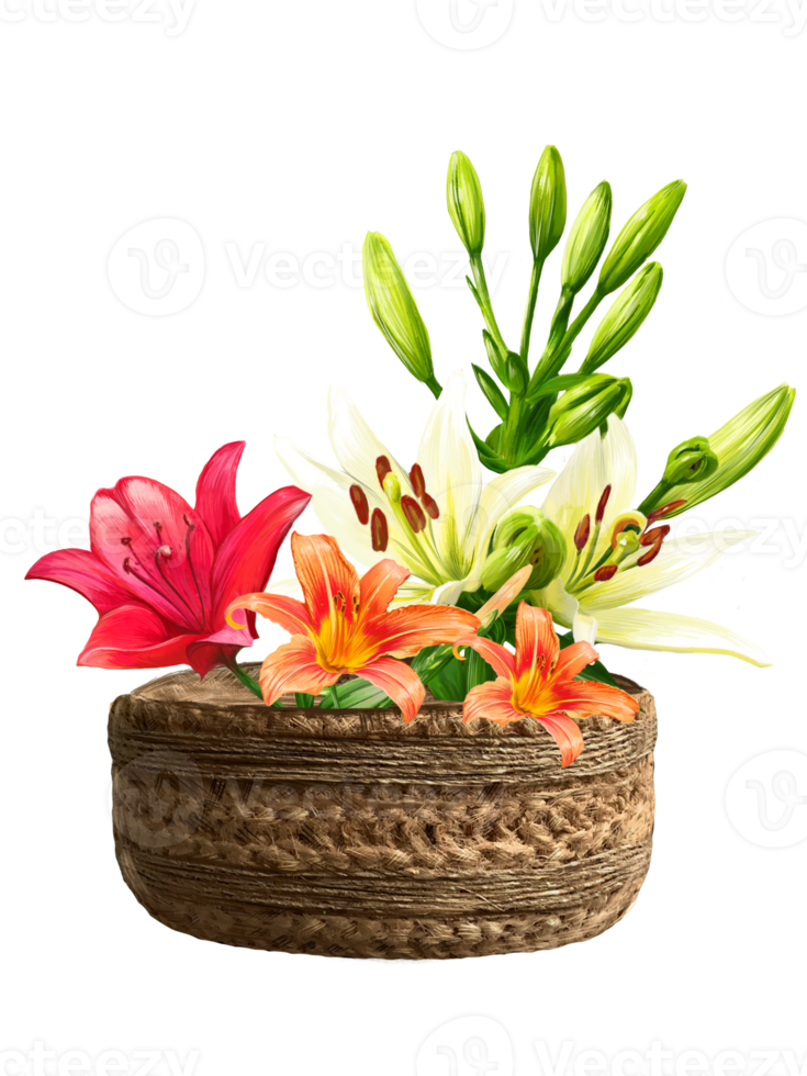 bouquet of lilies in a basket illustration png