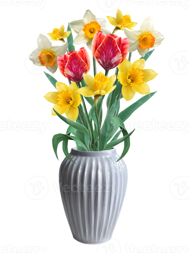 flowers of daffodils and tulips in a ceramic vase illustration png