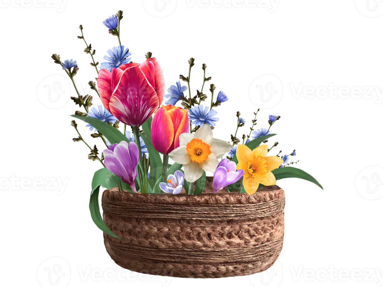samenstelling van tulp, narcis, en krokus bloemen illustratie png