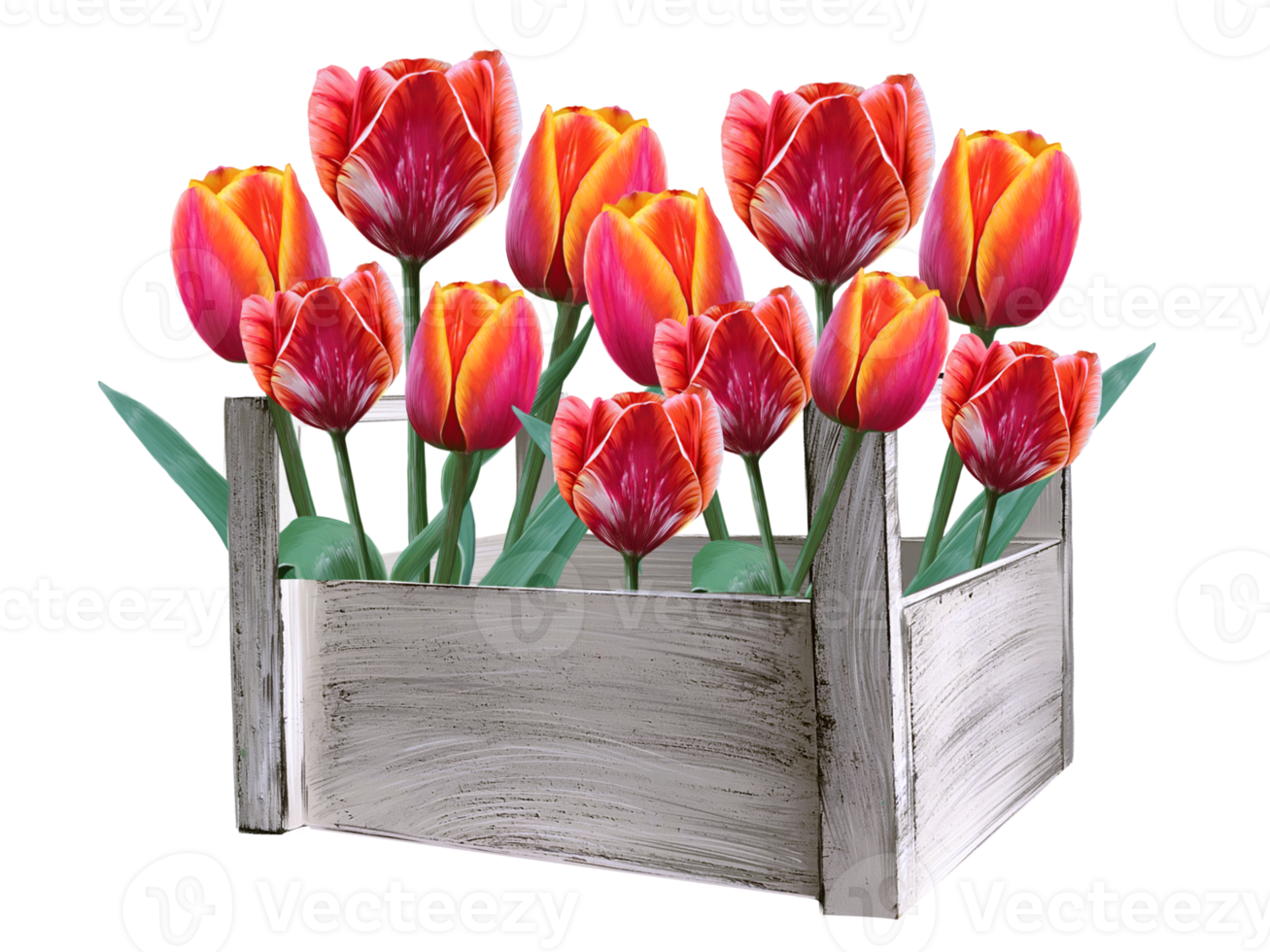 tulip flowers in a wooden box illustration png