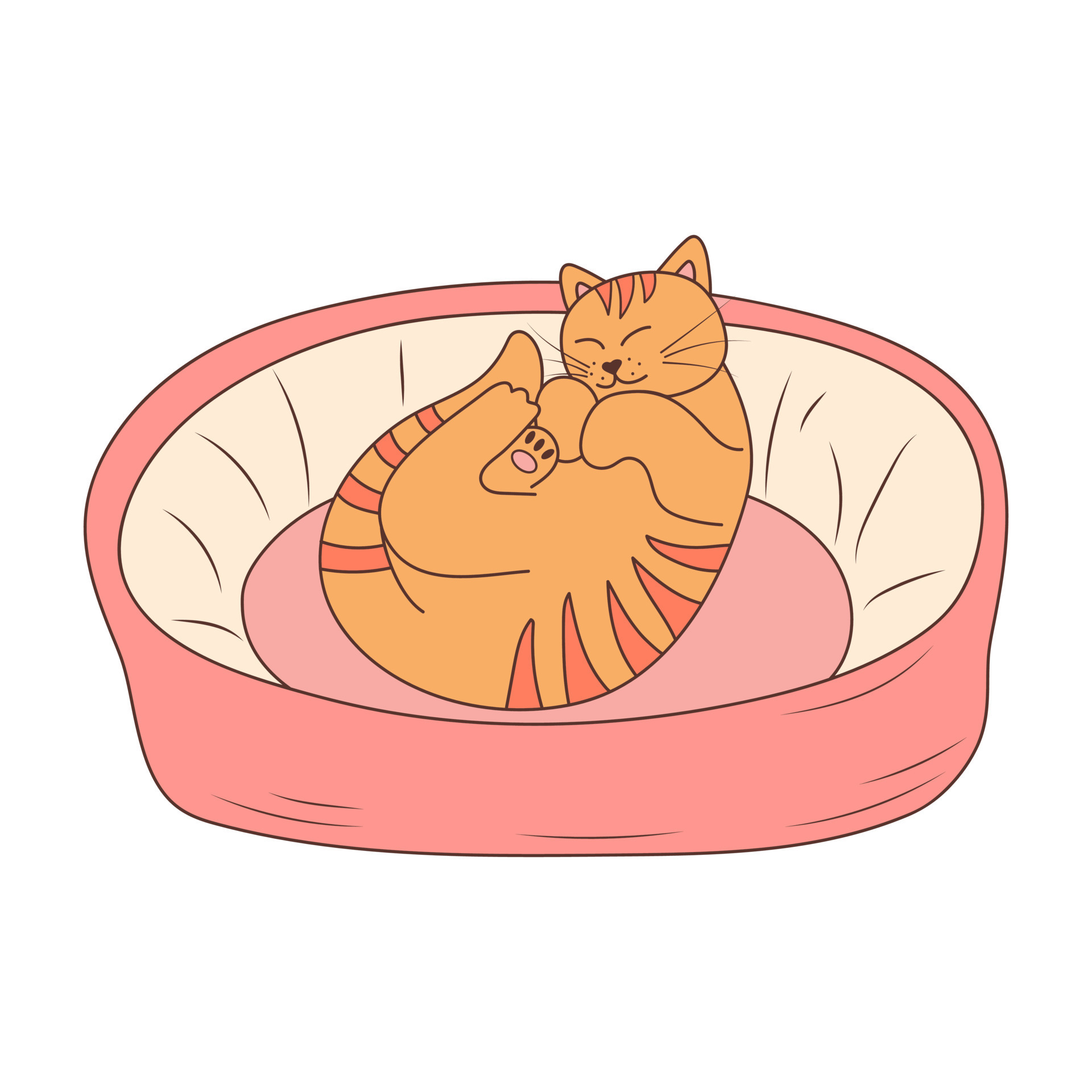 Cute cat sleeping in cat bed in doodle style. Sleepy relaxed feline