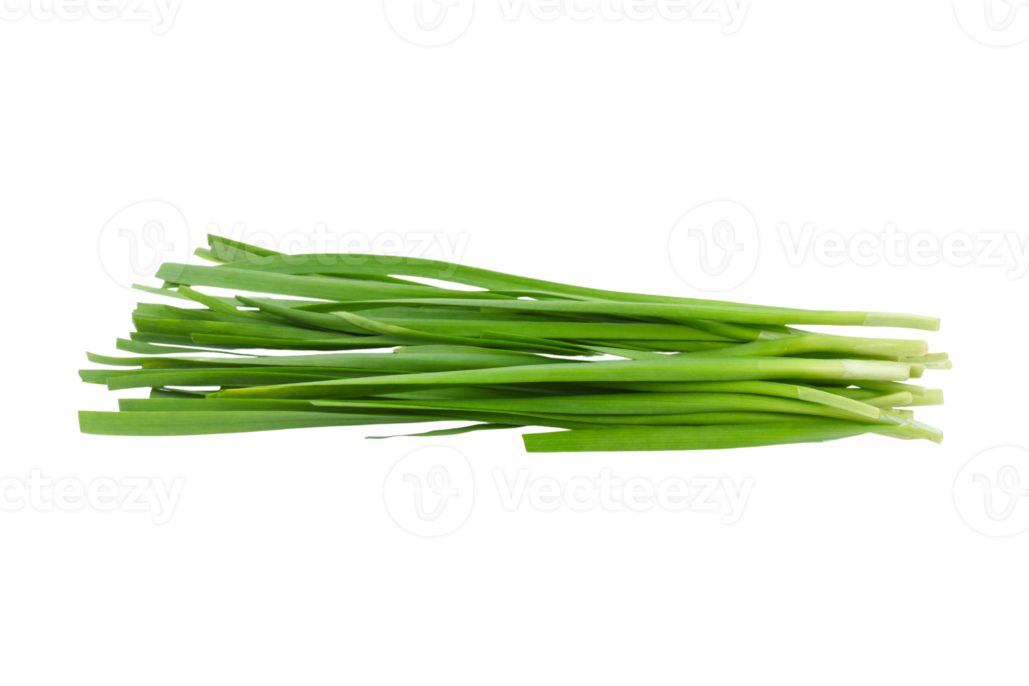 Green chinese onions isolated on a transparent background png