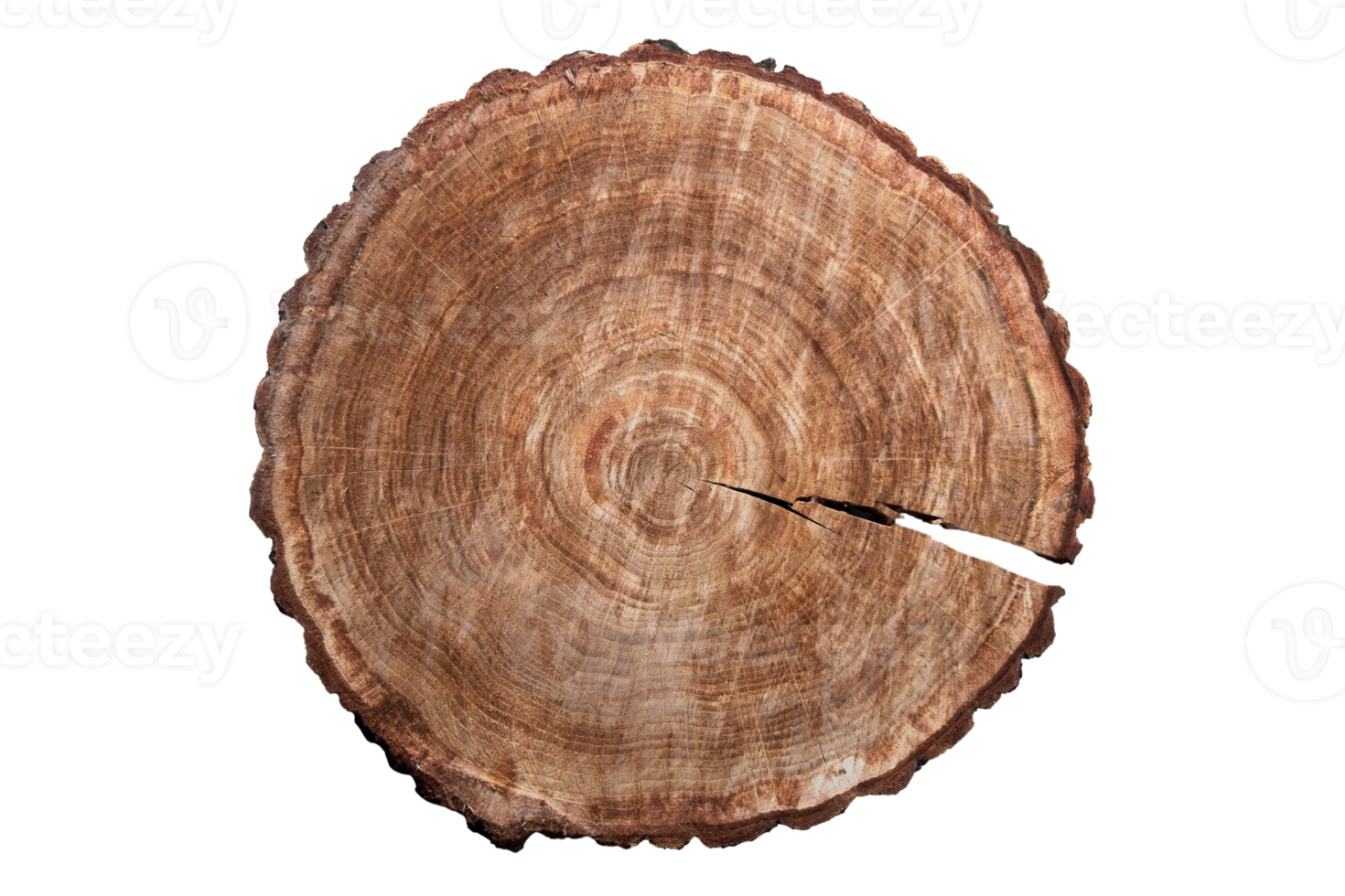 Brown wood isolated on a transparent background png