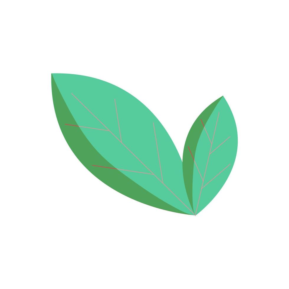 Green salad leaf  cartoon illustration vector