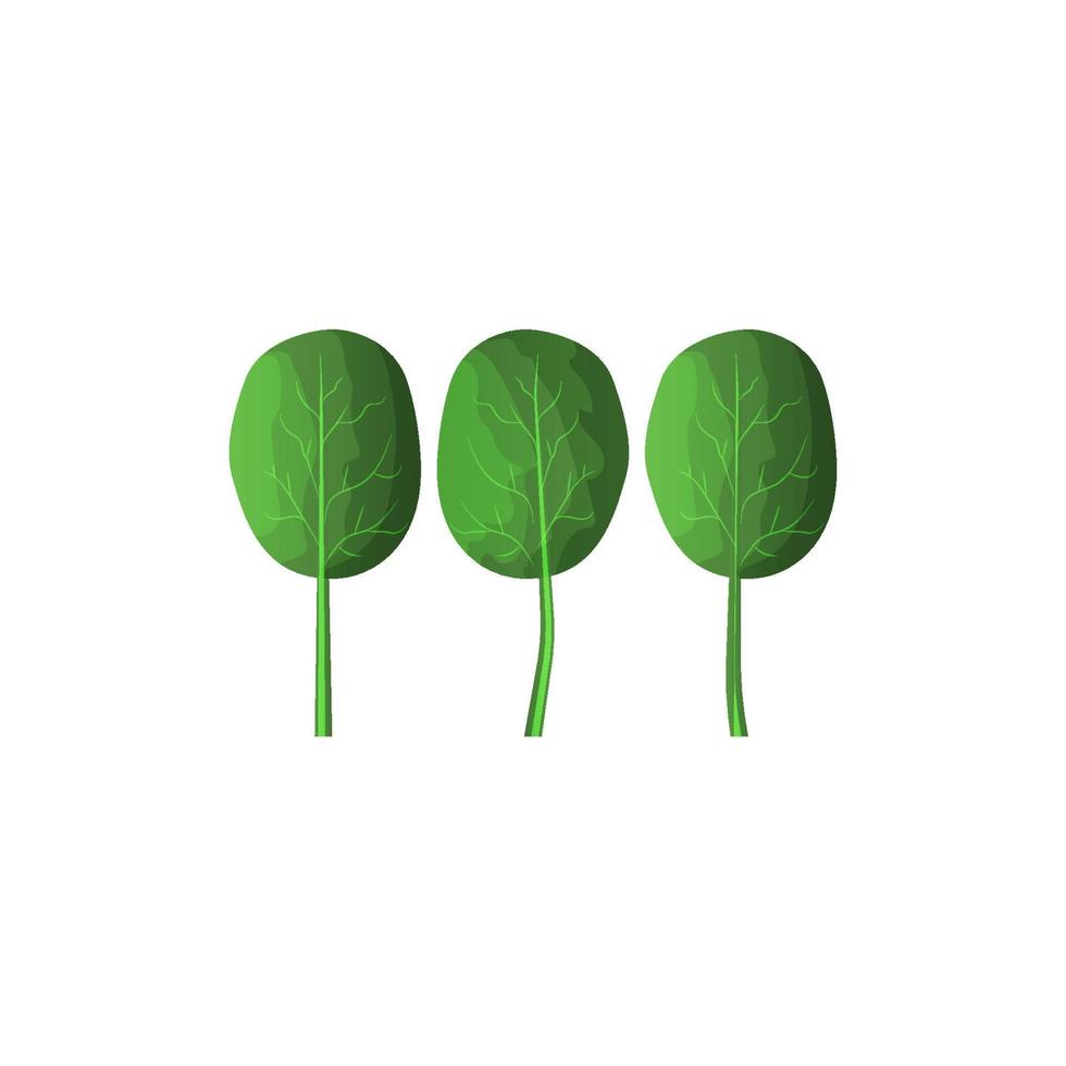 Spinach icon in trendy flat style isolated on white background for your web site design vector